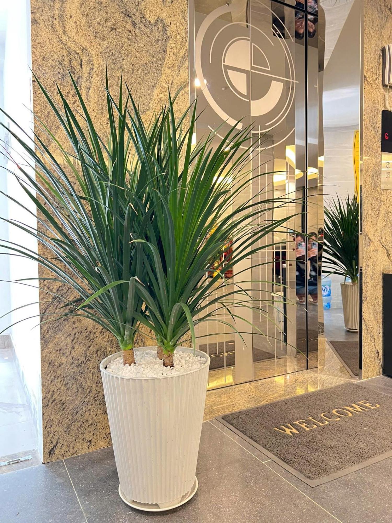 Riversidehome Nearairport/netflix/chill/terrace Căn hộ TP. Hồ Chí Minh